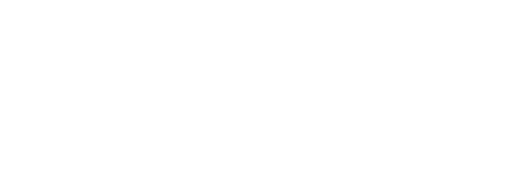 Логотип АО Специальные системы